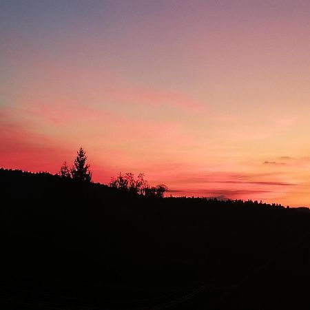 Ferienwohungen Im Kuchersbach Hornberg Zewnętrze zdjęcie