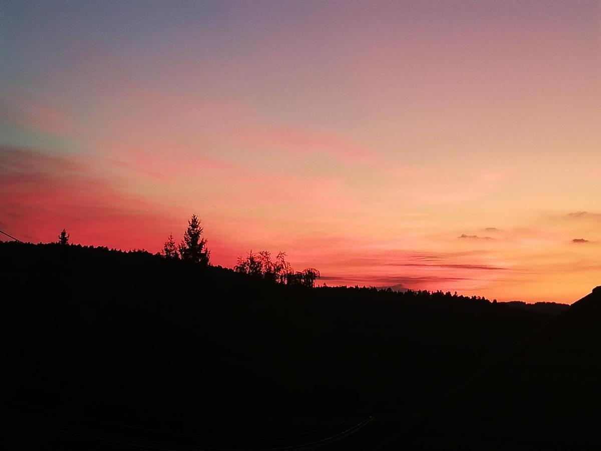 Ferienwohungen Im Kuchersbach Hornberg Zewnętrze zdjęcie