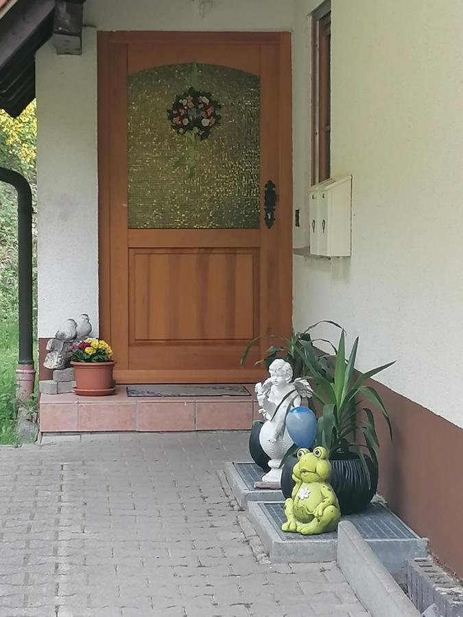 Ferienwohungen Im Kuchersbach Hornberg Zewnętrze zdjęcie