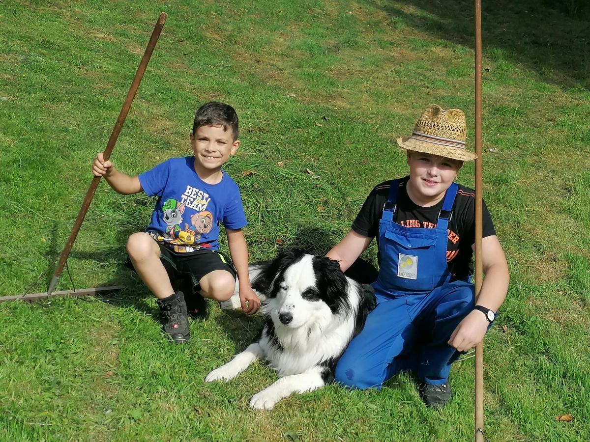 Ferienwohungen Im Kuchersbach Hornberg Zewnętrze zdjęcie