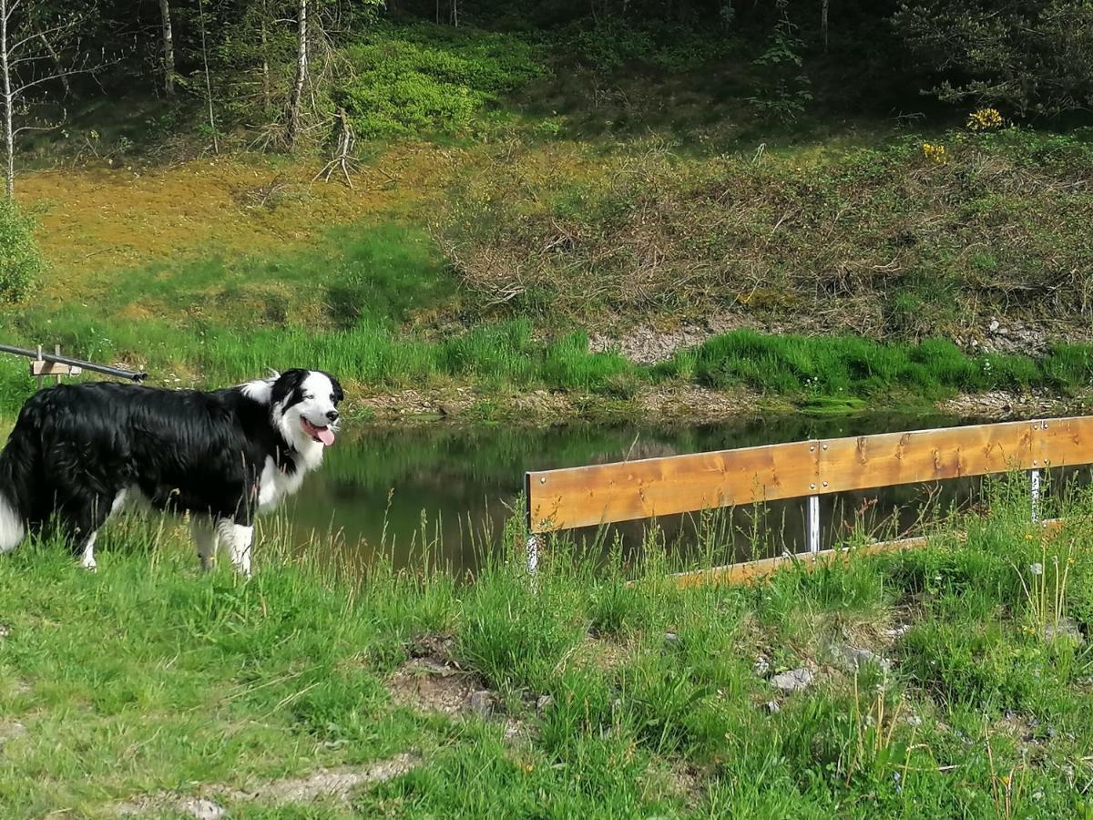 Ferienwohungen Im Kuchersbach Hornberg Zewnętrze zdjęcie