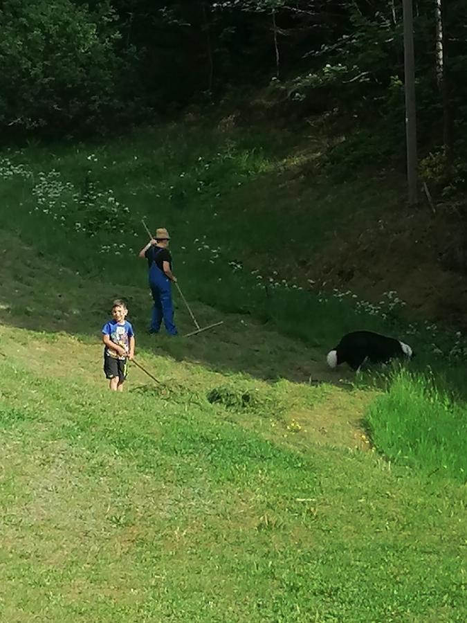 Ferienwohungen Im Kuchersbach Hornberg Zewnętrze zdjęcie
