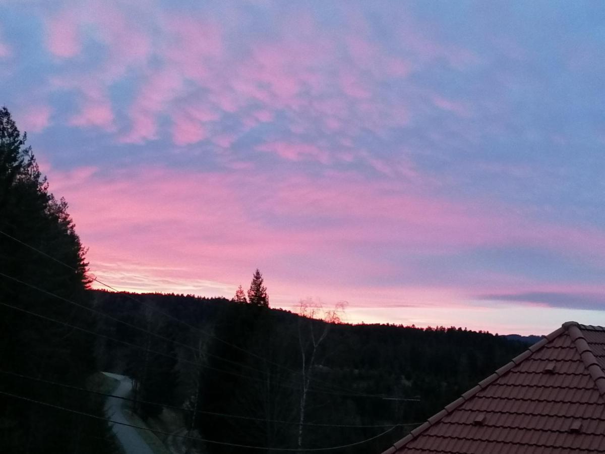 Ferienwohungen Im Kuchersbach Hornberg Zewnętrze zdjęcie