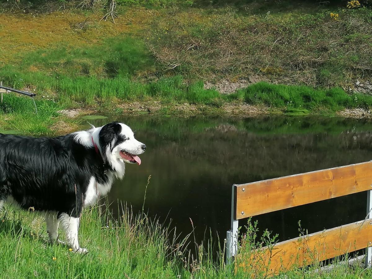 Ferienwohungen Im Kuchersbach Hornberg Zewnętrze zdjęcie