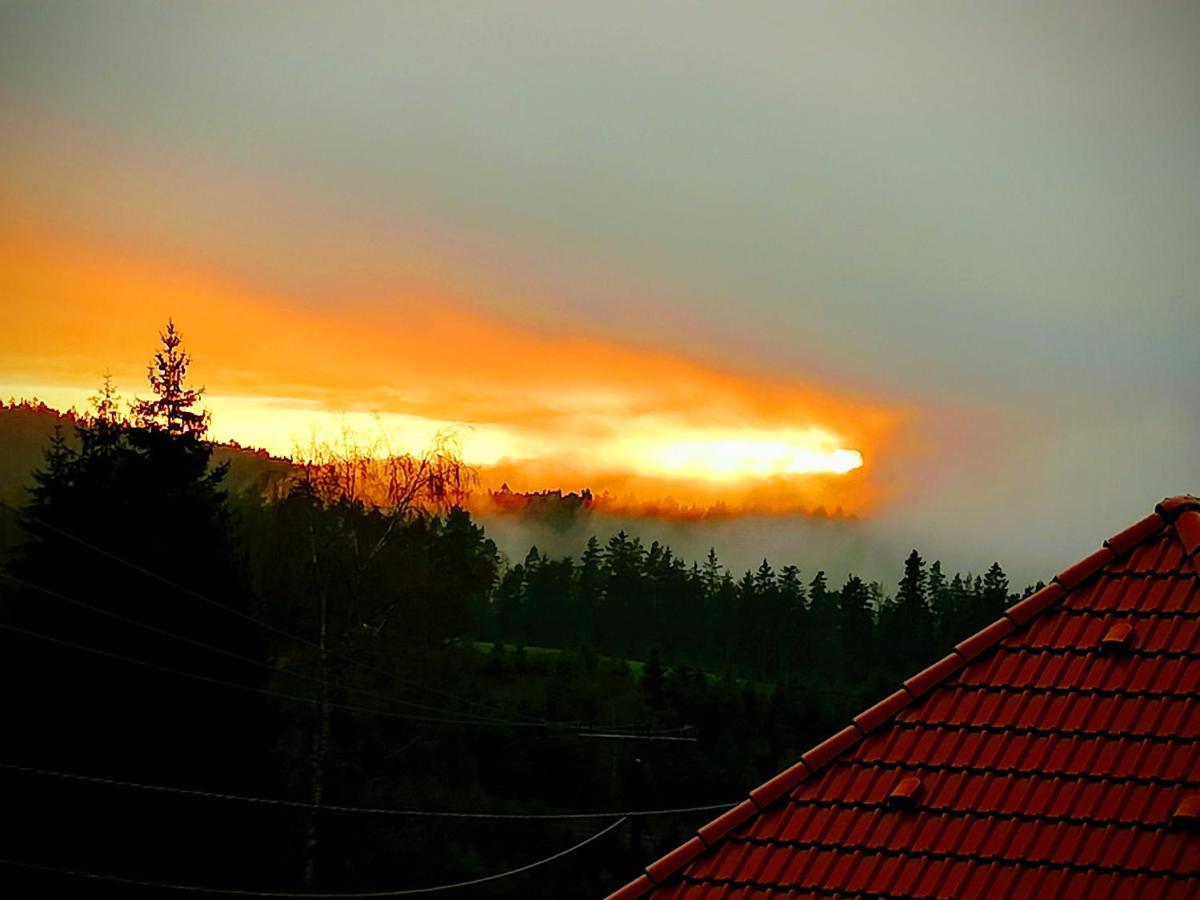 Ferienwohungen Im Kuchersbach Hornberg Zewnętrze zdjęcie