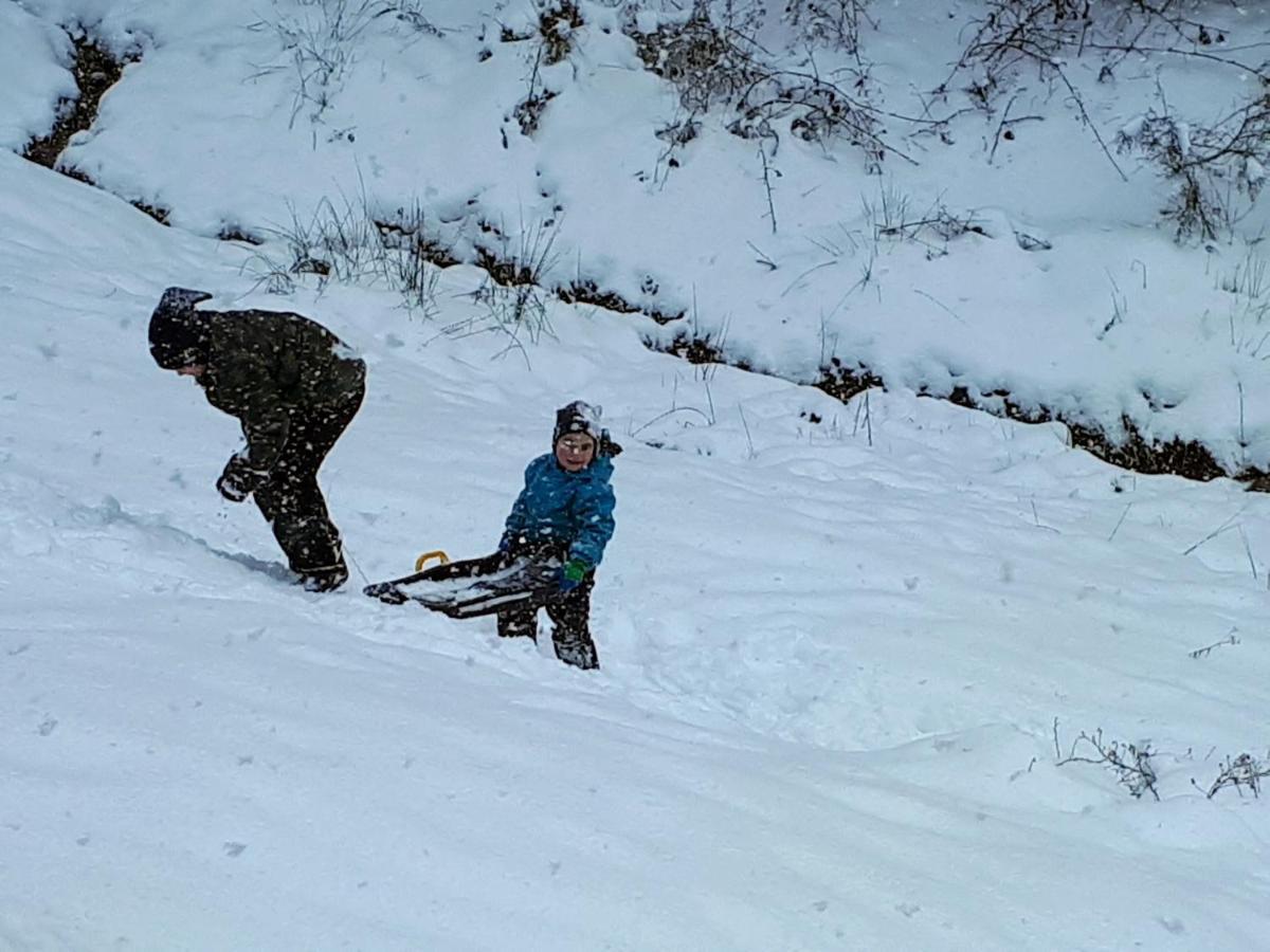 Ferienwohungen Im Kuchersbach Hornberg Zewnętrze zdjęcie