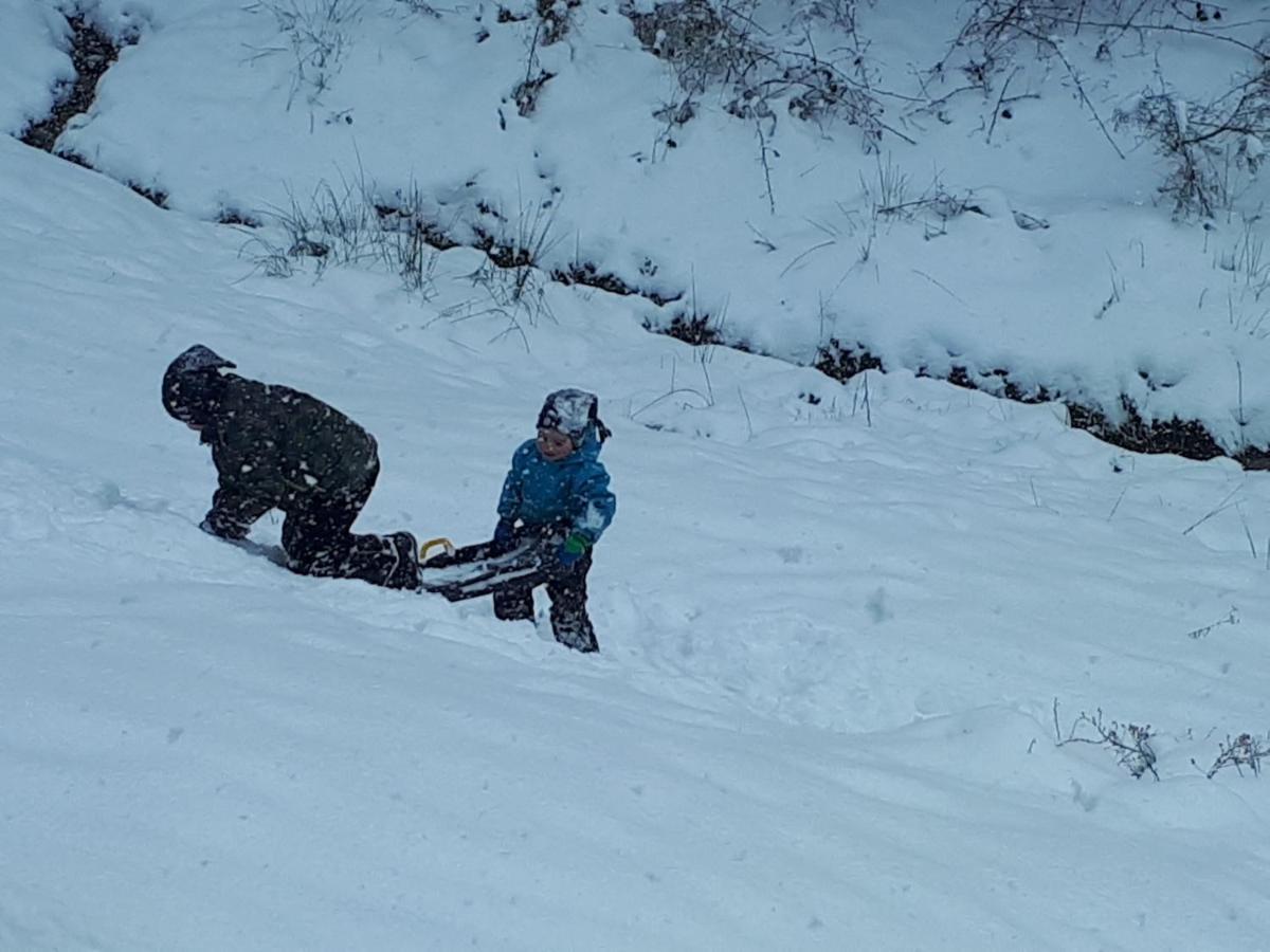 Ferienwohungen Im Kuchersbach Hornberg Zewnętrze zdjęcie