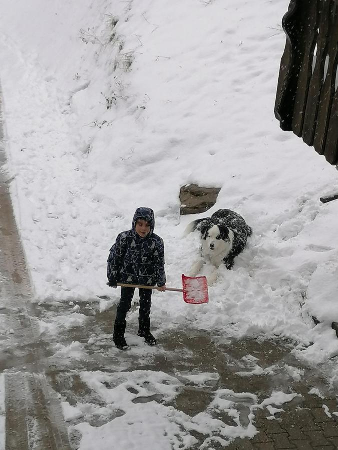 Ferienwohungen Im Kuchersbach Hornberg Zewnętrze zdjęcie