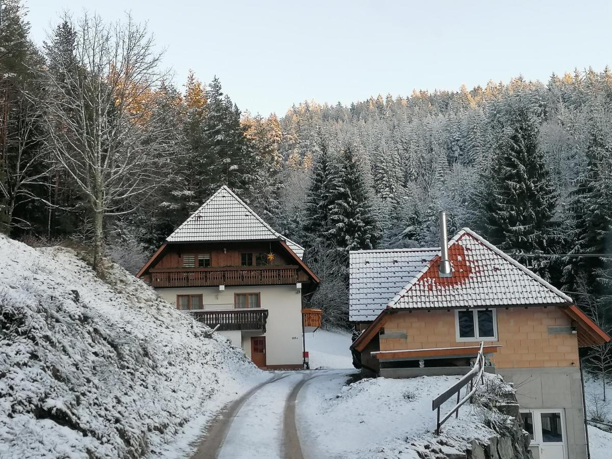 Ferienwohungen Im Kuchersbach Hornberg Zewnętrze zdjęcie
